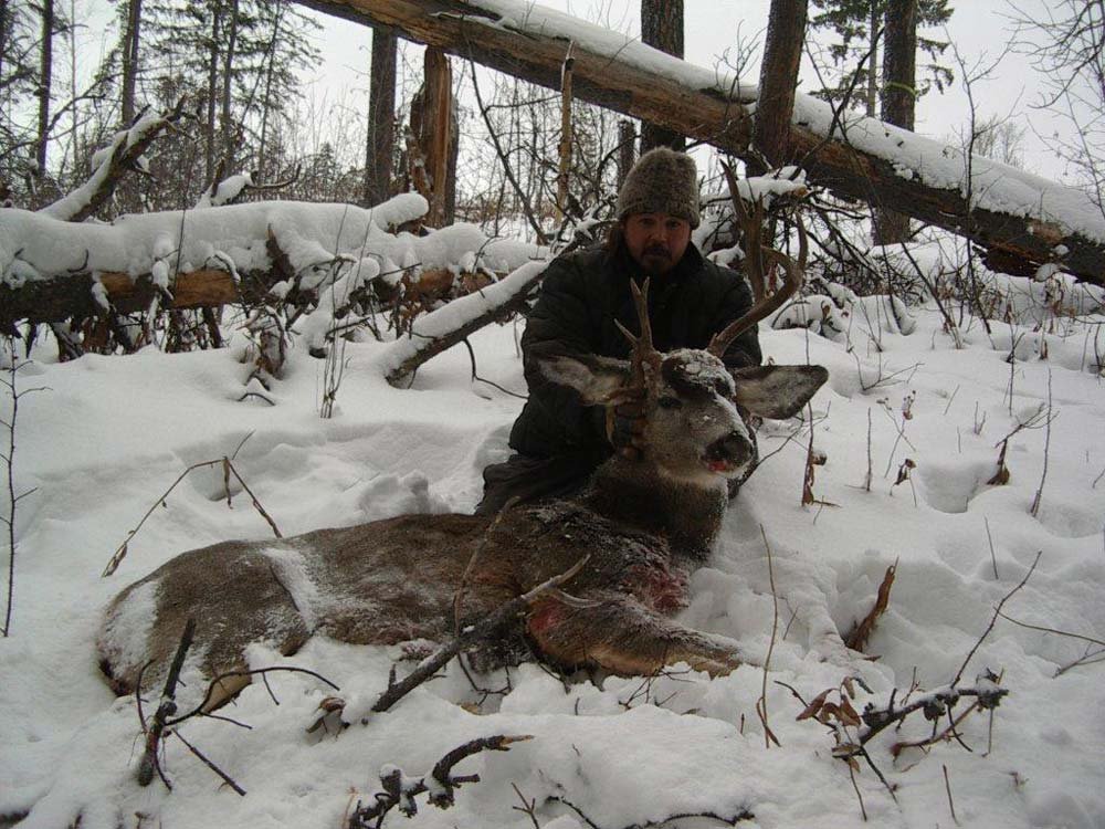 Itcha Mtn Outfitters Mule deer Hunt British Cloumbia1