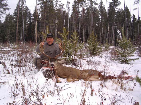 Itcha Mtn Outfitters Mule deer Hunt British Cloumbia3