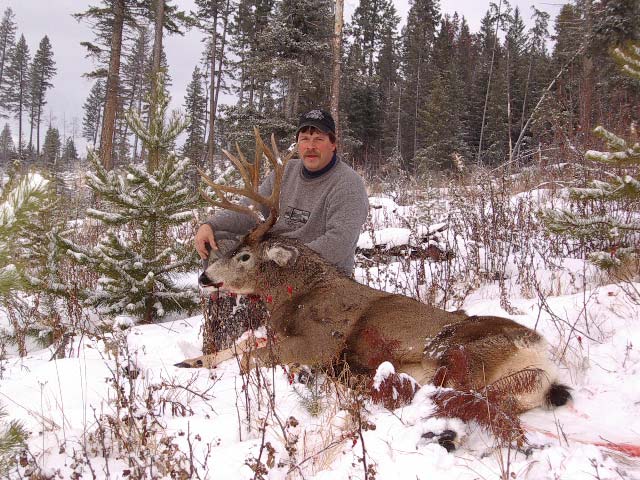 Itcha Mtn Outfitters Mule deer Hunt British Cloumbia4