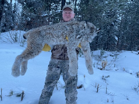Itcha Mtn Outfitters lynx Hunt British Cloumbia16