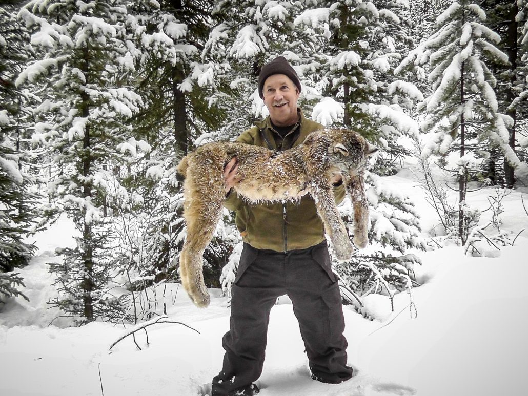 Itcha Mtn Outfitters lynx Hunt British Cloumbia17