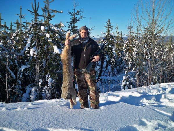Itcha Mtn Outfitters lynx Hunt British Cloumbia2