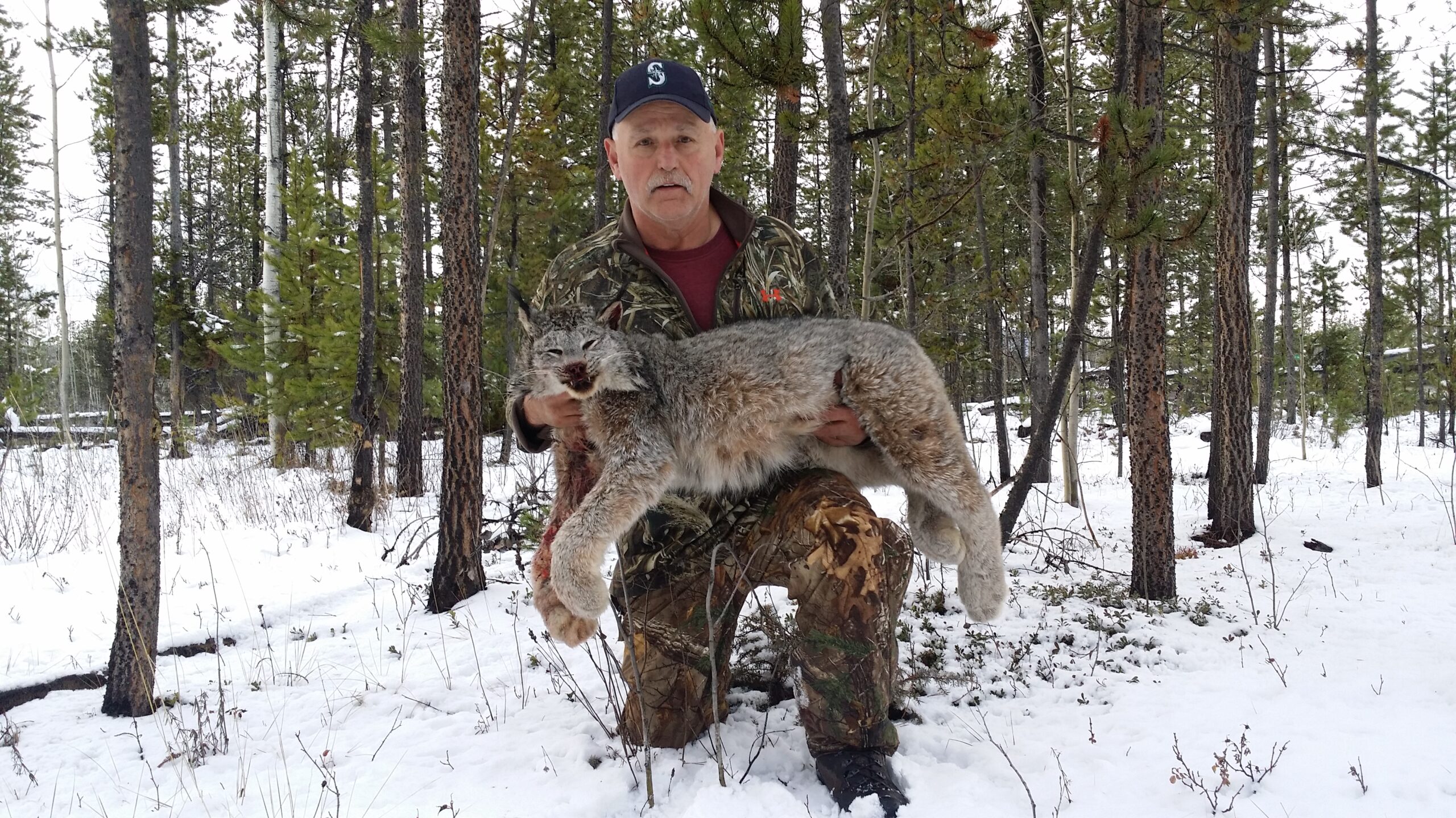 Itcha Mtn Outfitters lynx Hunt British Cloumbia3