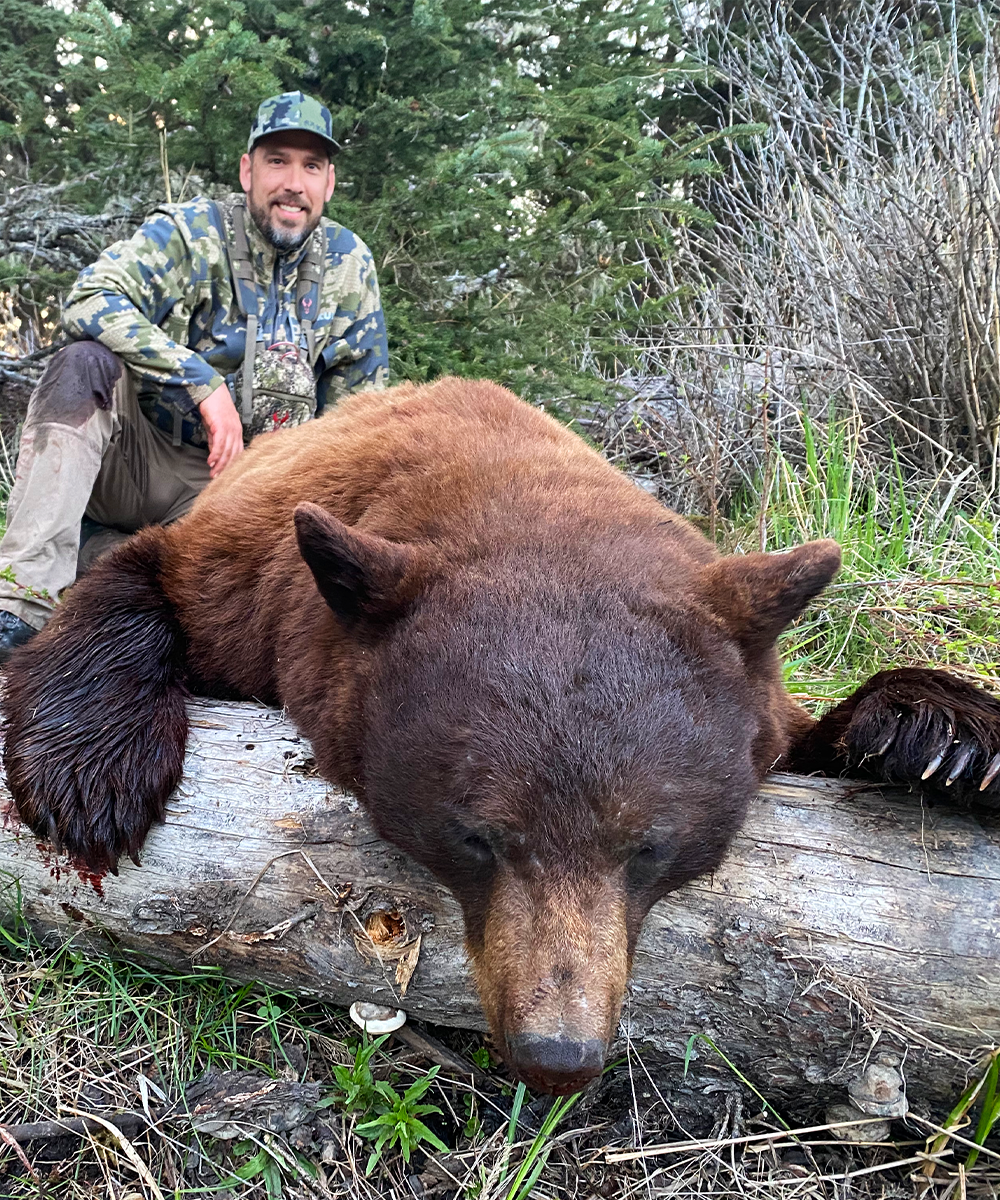 Brown-Bear-Itcha-mtn-outfitters-british-columbia-hunting