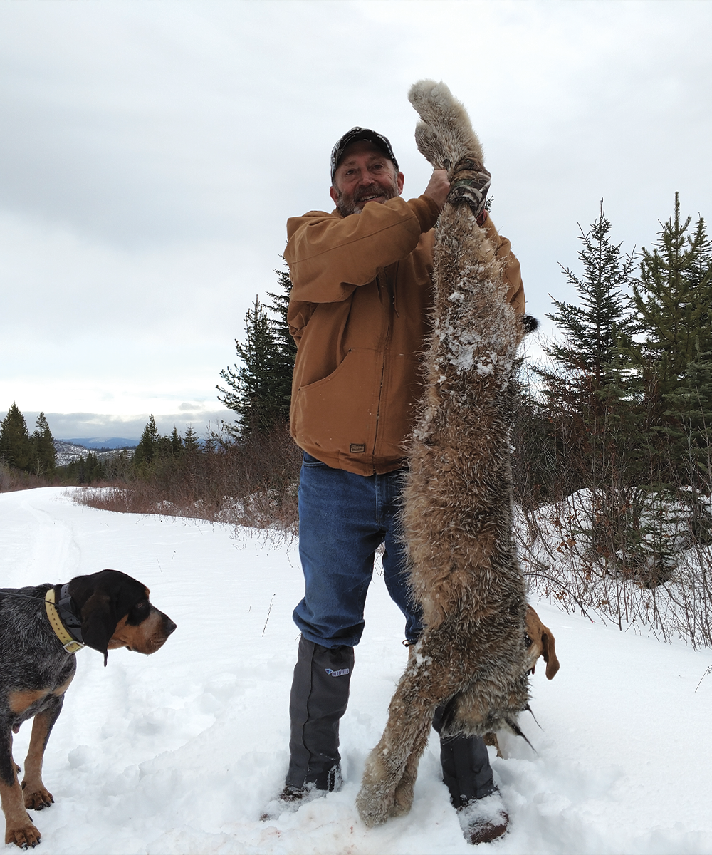 lynx-Itcha-mtn-outfitters-british-columbia-hunting